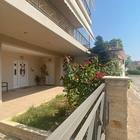 Cozy & Quiet City Apartment Tríkala Dış mekan fotoğraf